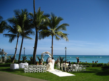 Island Wedding under Palm tree